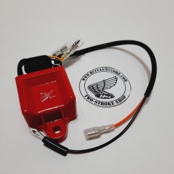 HPI inner rotor analoge cdi (2 curves)