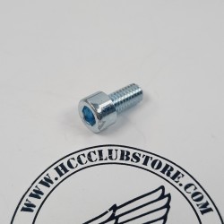 Inbusbout - M6 x 12 mm