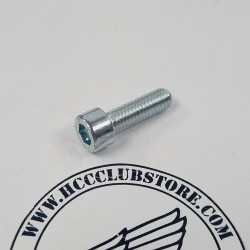Inbusbout - M6 x 20 mm