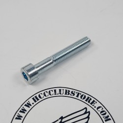 Inbusbout - M6 x 40 mm