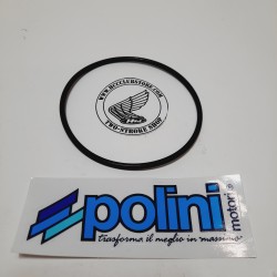 Polini waterpomp riempje