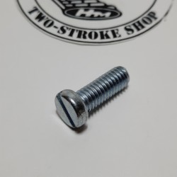 Schroefje M6 x 16 mm platte kop