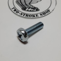 Schroefje m6 x 20 mm